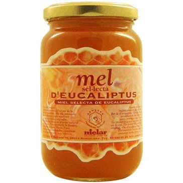 Eukalyptushonig 500GR Eukalyptushonig 500GR von ARNAUDA