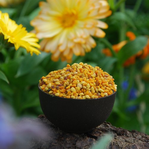 Hochaktive spanische Blütenpollen 250g Hochaktive spanische Blütenpollen 250g von ASPER MÜHLE