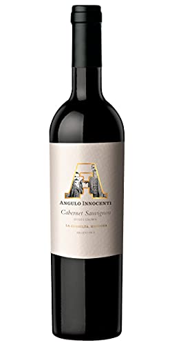 Atlantik Weine, AI Cabernet Sauvignon 2017, Rotwein aus Mendoza, Argentinien, Südamerika, trocken (1 x 0,75l) von ATLANTIK