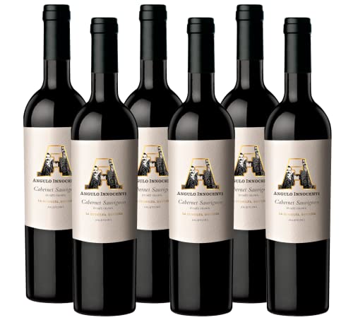 Atlantik Weine, AI Cabernet Sauvignon 2017, Rotwein aus Mendoza, Argentinien, Südamerika, trocken (6 x 0,75l) von ATLANTIK