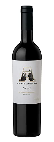 Atlantik Weine, AI Malbec 2020, Rotwein aus Mendoza, Argentinien, Südamerika, trocken (1 x 0,75l) von ATLANTIK