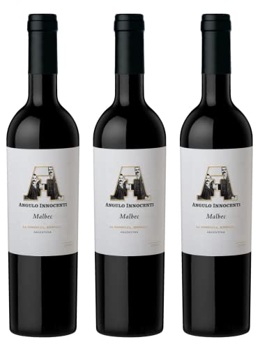 Atlantik Weine, AI Malbec 2016, Rotwein aus Mendoza, Argentinien, Südamerika, trocken (3 x 0,75l) von ATLANTIK