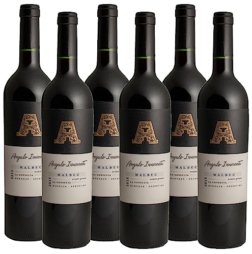 Atlantik Weine, AI Malbec 2020, Rotwein aus Mendoza, Argentinien, Südamerika, trocken (6 x 0,75l) von ATLANTIK