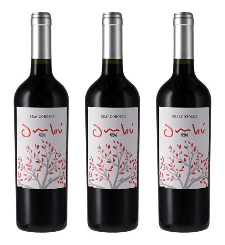 Atlantik Weine, Ombú Syrah Reserve, Rotwein aus Uruguay, Südamerika, trocken (3 x 0,75l) von ATLANTIK