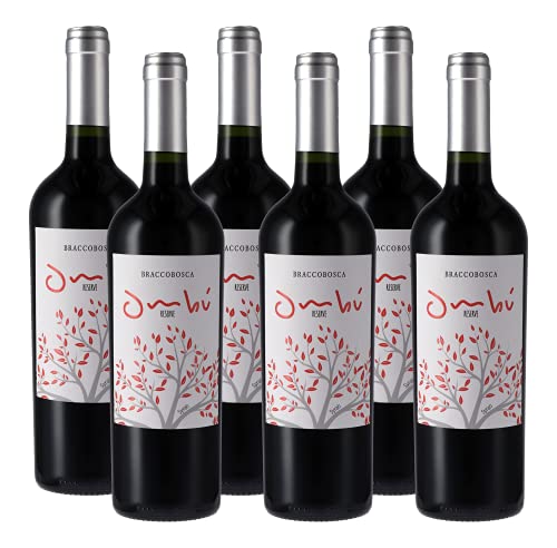 Atlantik Weine, Ombú Syrah Reserve, Rotwein aus Uruguay, Südamerika, trocken (6 x 0,75l) von ATLANTIK