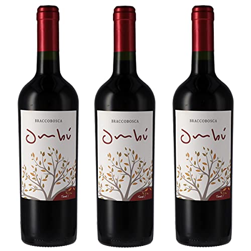 Atlantik Weine, Ombú Tannat Classico 2016, Rotwein aus Uruguay, Südamerika, trocken (3 x 0,75l) von ATLANTIK