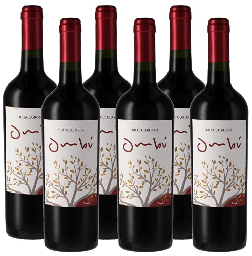 Atlantik Weine, Ombú Tannat Classico 2016, Rotwein aus Uruguay, Südamerika, trocken (6 x 0,75l) von ATLANTIK