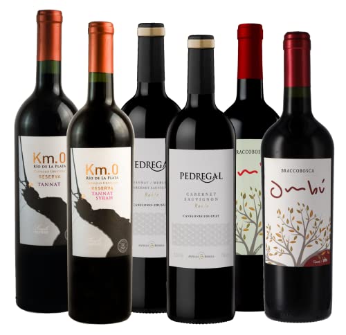 Atlantik Weine, Probierpaket Uruguay, Weinpaket mit Rotwein aus Uruguay, Südamerika, Tannat Merlot Cabernet Sauvignon und Malbec, trocken (6 x 0,75l) von ATLANTIK