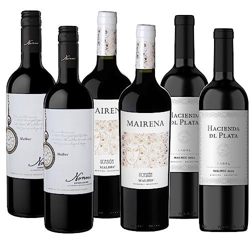 Atlantik Weine, Südamerika Malbec Probierpaket, Weinpaket mit Rotweinen aus Argentinien, Verschiedene Malbec aus Mendoza (6 x 0,75l) von ATLANTIK