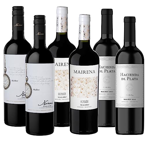 Atlantik Weine, Südamerika Malbec Probierpaket, Weinpaket mit Rotweinen aus Argentinien, Verschiedene Malbec aus Mendoza & Patagonien (6 x 0,75l) von ATLANTIK