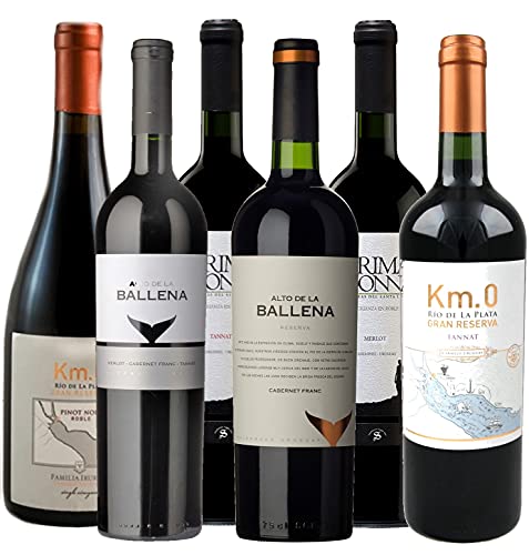 Atlantik Weine, Südamerika Premium Weinpaket mit Rotwein aus Uruguay, Tannat Merlot Cabernet Franc und Pinot Noir aus drei Weinregionen Uruguays, trocken (6 x 0,75l) von ATLANTIK