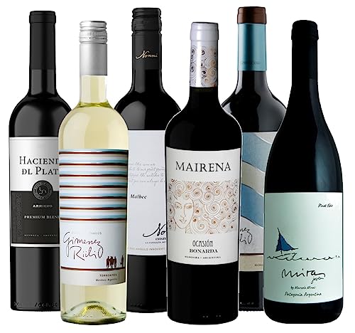 Atlantik Weine, Südamerika Weinpaket Taste of Argentina mit Rotwein und Weißwein aus Argentinien, Malbec, Bonarda, Torrontes, Cabernet Sauvignon, Pinot Noir und Syrah (6 x 0,75l) von ATLANTIK