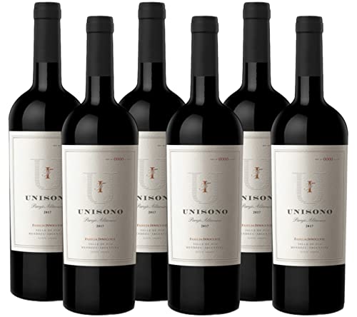Atlantik Weine, Unísono 2017, Rotwein aus Mendoza, Argentinien, Südamerika, trocken (6 x 0,75l) von ATLANTIK