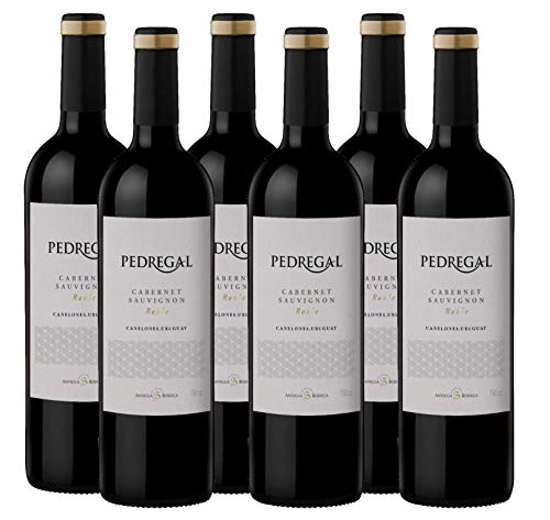 Atlantik Weine, Weinpaket Pedregal Cabernet Sauvignon 2017, Rotwein aus Uruguay, Südamerika, trocken (6 x 0,75l) von ATLANTIK