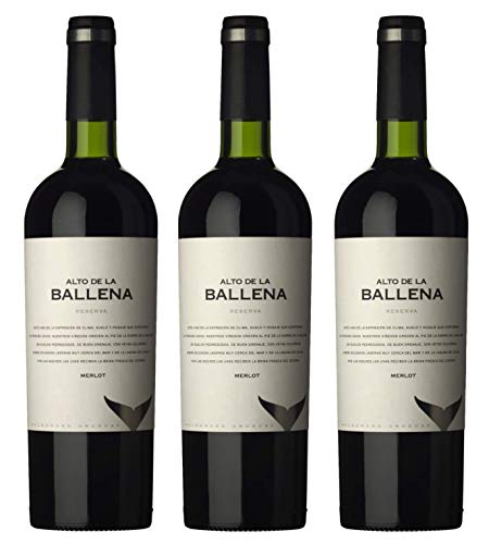 Atlantik Weine, Weinpaket Reserva Merlot 2016, Rotwein aus Uruguay, Südamerika, trocken (3 x 0,75l) von ATLANTIK