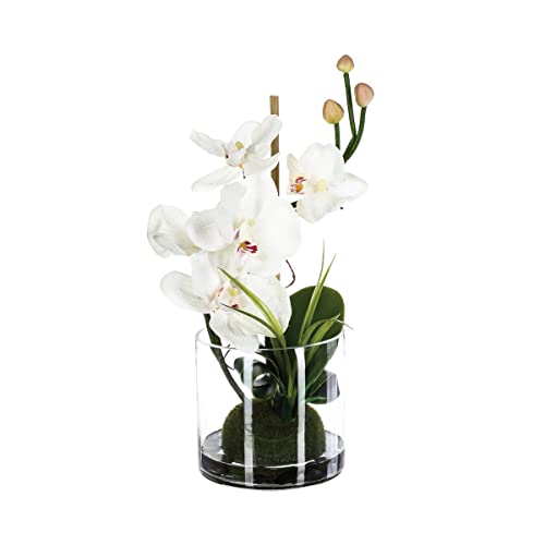 Atmosphera - Arrangement aus künstlichen Orchideen - Glasvase - H37 cm. - Weiß Atmosphera - Arrangement aus künstlichen Orchideen - Glasvase - H37 cm. - Weiß von ATMOSPHERA CREATEUR D'INTERIEUR