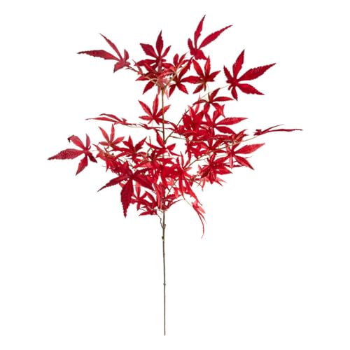 Atmosphera - James künstlicher ahornstamm h102cm - RED Atmosphera - James künstlicher ahornstamm h102cm - RED von ATMOSPHERA CREATEUR D'INTERIEUR