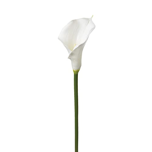 Atmosphera - Künstlicher Aronstab - H75 cm - Weiß Atmosphera - Künstlicher Aronstab - H75 cm - Weiß von ATMOSPHERA CREATEUR D'INTERIEUR