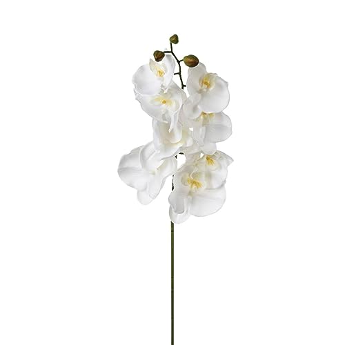 Atmosphera - Künstlicher Orchideenstamm - H108 cm - Weiß Atmosphera - Künstlicher Orchideenstamm - H108 cm - Weiß von ATMOSPHERA CREATEUR D'INTERIEUR