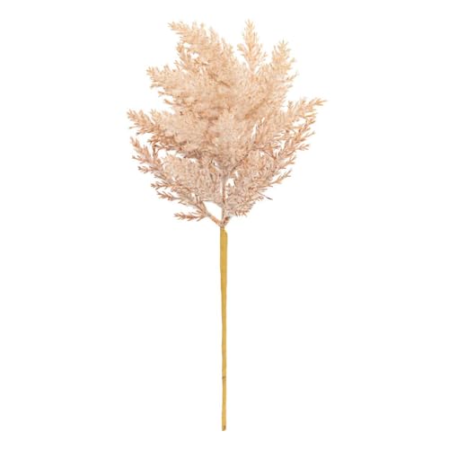 Atmosphera - Künstlicher geleestängel James h40cm - beige Atmosphera - Künstlicher geleestängel James h40cm - beige von ATMOSPHERA CREATEUR D'INTERIEUR