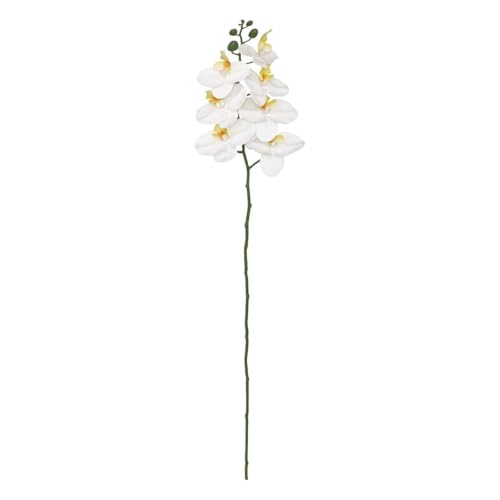 Atmosphera - Künstlicher orchideenstamm "gisele" h95cm - weiß Atmosphera - Künstlicher orchideenstamm "gisele" h95cm - weiß von ATMOSPHERA CREATEUR D'INTERIEUR