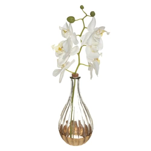 Atmosphera - Künstliche Orchidee EDI - Glasvase - H40 cm - Weiß Atmosphera - Künstliche Orchidee EDI - Glasvase - H40 cm - Weiß von ATMOSPHERA CREATEUR D'INTERIEUR