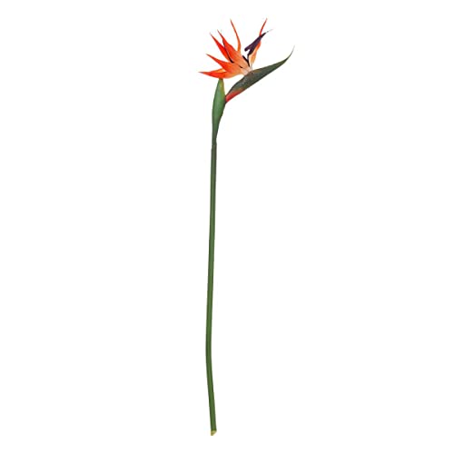 Atmosphera - Künstlicher Paradiesvogel-Stängel - H83 cm - Mehrfarbig Atmosphera - Künstlicher Paradiesvogel-Stängel - H83 cm - Mehrfarbig von ATMOSPHERA CREATEUR D'INTERIEUR