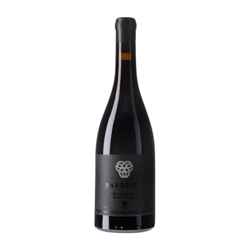 Damm Barreiro Viñas Viejas Ribeira Sacra 75 cl Rotwein Damm Barreiro Viñas Viejas Ribeira Sacra 75 cl Rotwein von Adega Damm