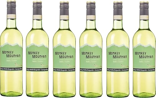 Affentaler Winzer "Monkey Mountain" Riesling & Weissburgunder & Sauvignon blanc QW trocken (6 x 0,75L) von Affentaler Winzer eG