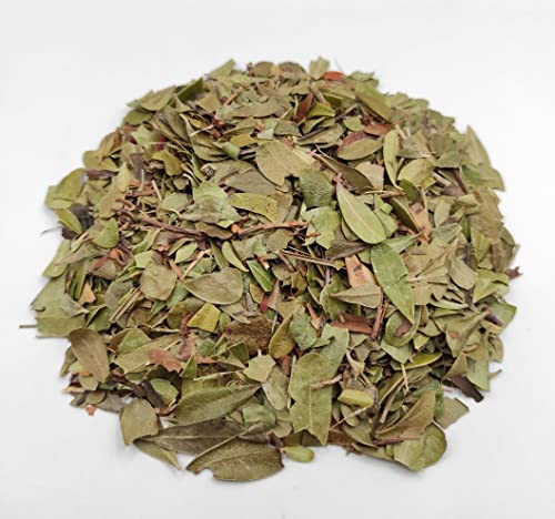 Getrocknete Bärentraubenblätter 85g - 1,95kg Arctostaphylos uva-ursi (85 gramm) von AgoraMarket
