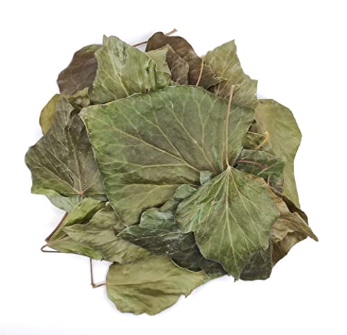 Getrocknete Englischer Efeu Blätter 85g - 1,95Kg Hedera Helix (1950 gramm) von AgoraMarket