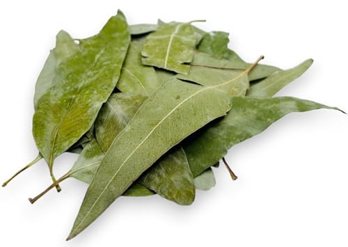 Getrocknete Eukalyptus Blätter 85g - 1.95Kg Premium Qualität Eucalyptus Globulus (220 gramm) von AgoraMarket