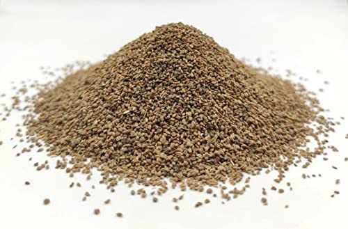 Getrocknete Ganze Sellerie Samen 85g - 1,95Kg Apium Graveolens (460 gramm) von AgoraMarket