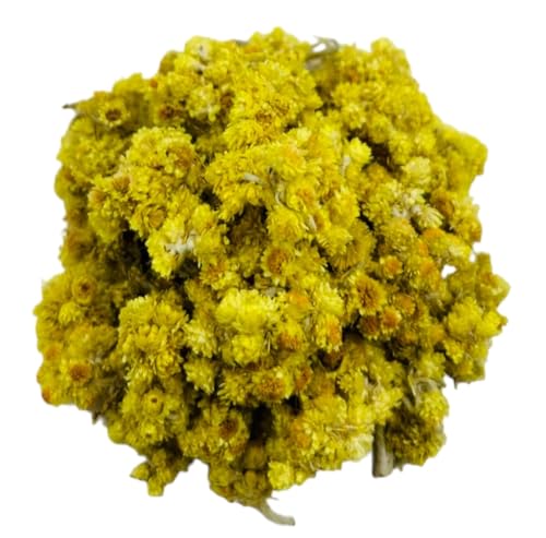 Getrocknete Helichrysum Immortelle Immerwährende Blumen 85g - 1,95Kg (1950 gramm) von AgoraMarket