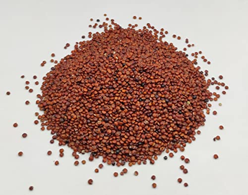 Getrocknete Rote Quinoa Ganze Samen 85g - 1,95kg Chenopodium Quinoa (1950 gramm) von AgoraMarket