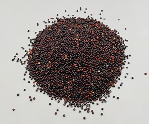 Getrocknete Schwarze Quinoasamen 85g - 1,95kg Chenopodium Quinoa (1950 gramm) von AgoraMarket