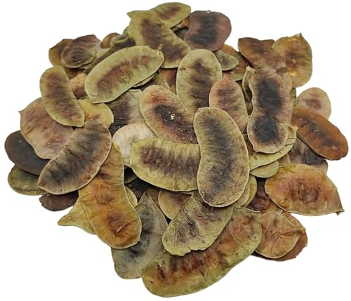 Getrocknete Senna Schoten Kräutertee 85g - 1,95 KG Prämie Qualität Senna Alexandrina (85 gramm) von AgoraMarket