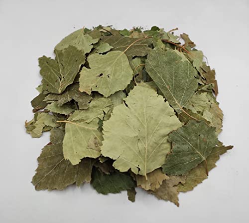 Getrocknete Silberbirkenblätter 85g - 1,95kg Betula pendula (85 gramm) von AgoraMarket