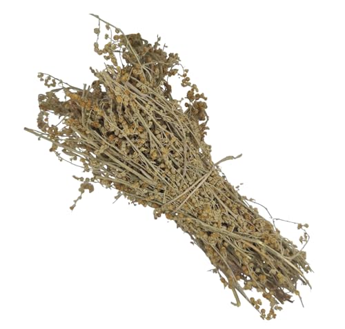 Getrockneter Wermut Bündel Beifuss 220g - 1,95Kg - Klasse A - Artemisia Absinthium (1950 gramm) von AgoraMarket