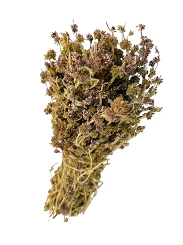 Getrocknete Pennyroyal Minze Ganze Bündel 220 gramm - 950 Kilo Klasse A Mentha Pulegium (460 gramm) von AgoraMarket