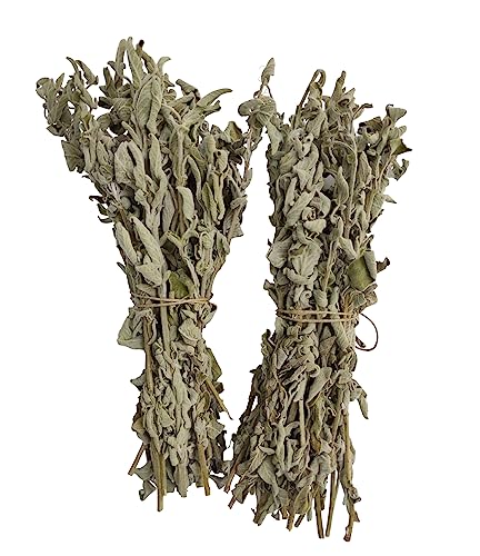 Wilder Griechischer Salbei Kräutertee Ganze Bündel Prämie Qualität Salvia Triloba (460 gramm) von AgoraMarket