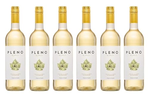 6x 0,75l - Pleno - Blanco - semi-dry - Vino de la Tierra 3 Riberas I.G.P. - Spanien - Weißwein halbtrocken von Agronavarra - Pleno