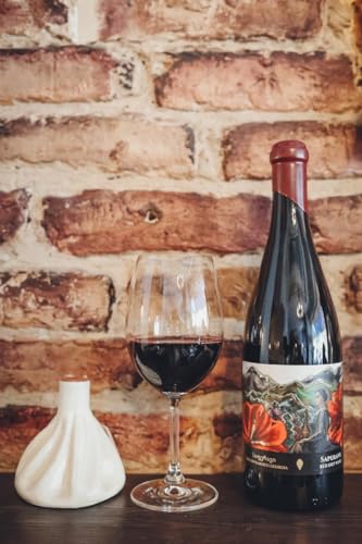 Georgischer Wein, Saperavi Qvevri Rotwein Trocken 2019, Alazani Winery, Wein aus Georgien Georgischer Wein, Saperavi Qvevri Rotwein Trocken 2019, Alazani Winery, Wein aus Georgien von Alazani LTD