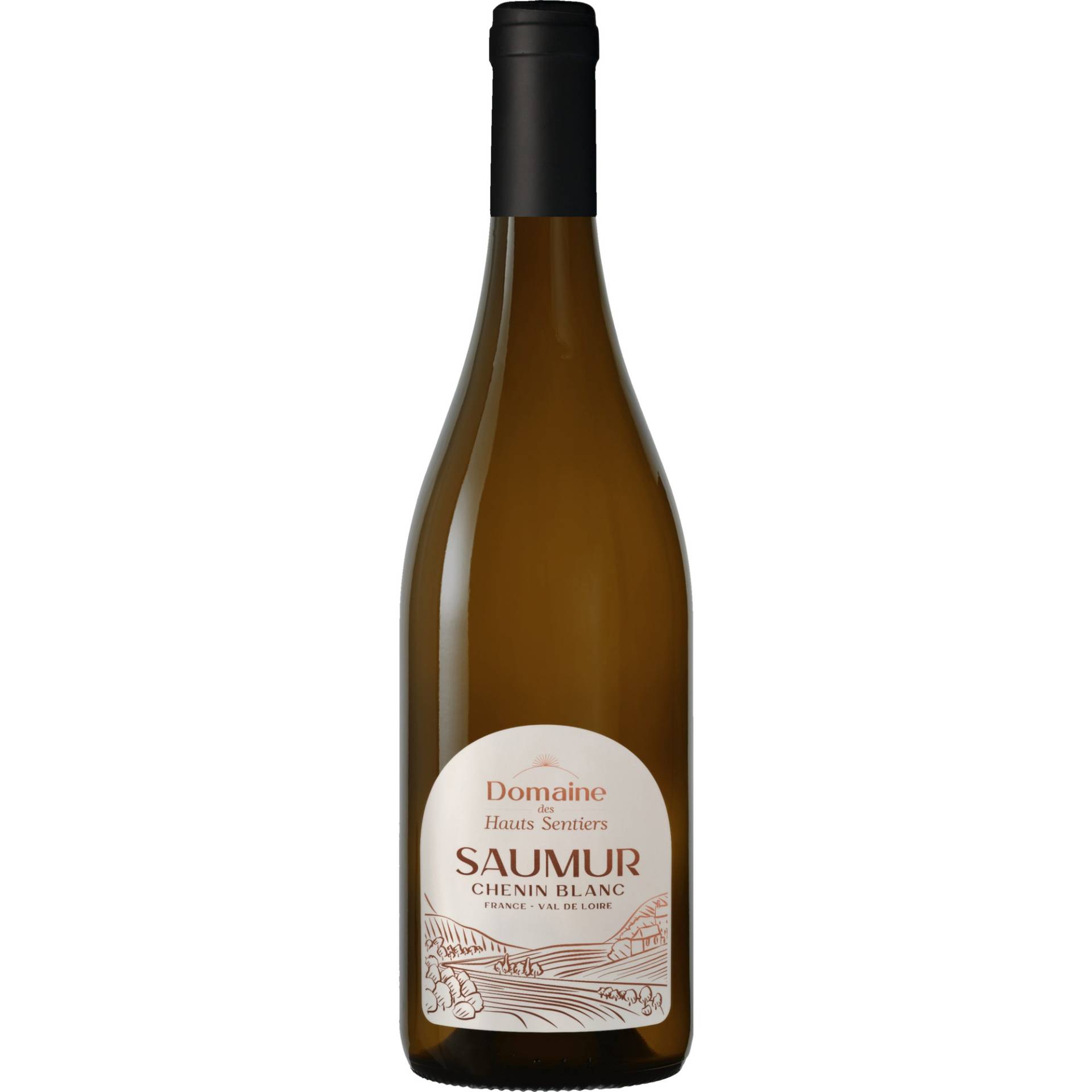 Domaine des Hauts Sentiers Chenin Blanc, Saumur AOP, Loire, 2022, Weißwein Domaine des Hauts Sentiers Chenin Blanc, Saumur AOP, Loire, 2022, Weißwein von Albert Besombes à 49320 Brissac, France