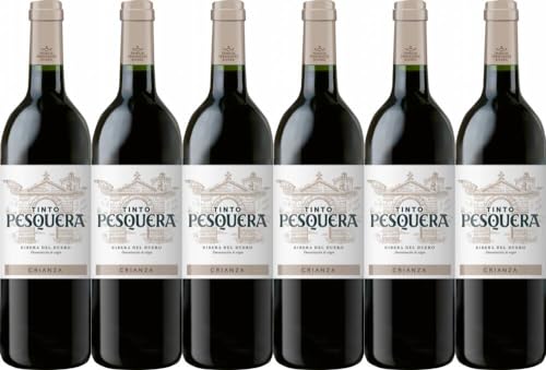 6x Tinto Pesquera Crianza 2020 - Alejandro Fernández, Ribera del Duero - Rotwein von Alejandro Fernández