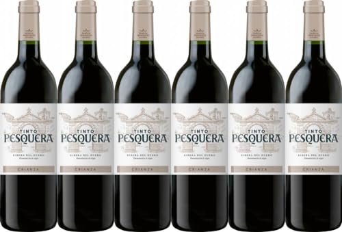 6x Tinto Pesquera Crianza 2020 - Alejandro Fernández, Ribera del Duero - Rotwein von Alejandro Fernández