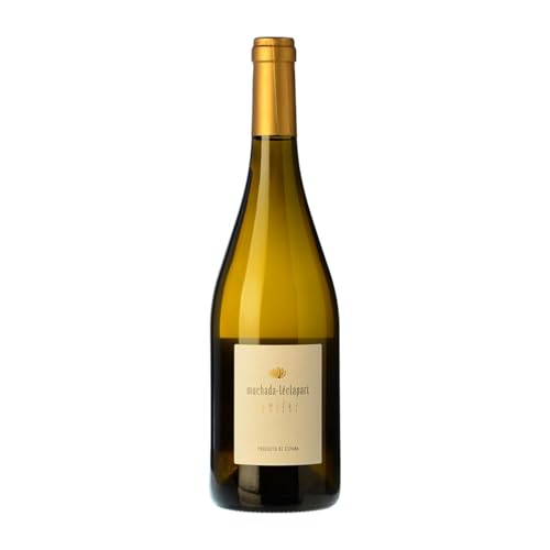 Muchada-Léclapart Lumière Palomino Fino Vino de la Tierra de Cádiz 75 cl Weißwein Muchada-Léclapart Lumière Palomino Fino Vino de la Tierra de Cádiz 75 cl Weißwein von Alejandro Muchada & David Léclapart