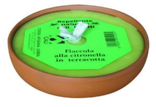 FIACC.TERRACOTT.CITRONELLA CM18 CAU FIACC.TERRACOTT.CITRONELLA CM18 CAU von Alimentari
