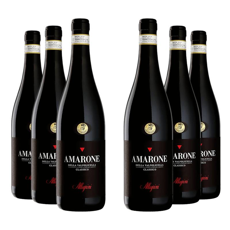 Allegrini : Amarone Della Valpolicella Classico 2019 von Allegrini
