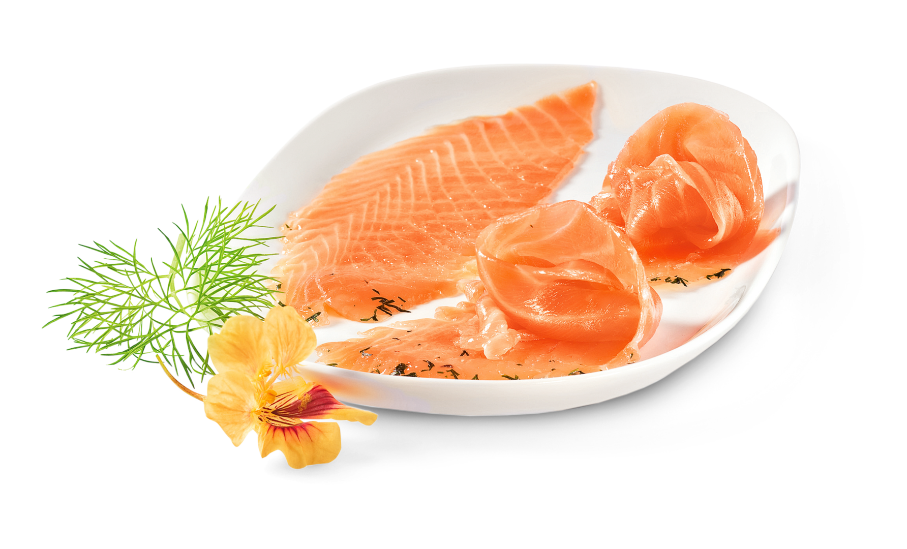 Schottischer Gravad Lax fein gebeizt Schottischer Gravad Lax fein gebeizt von Alois Dallmayr KG